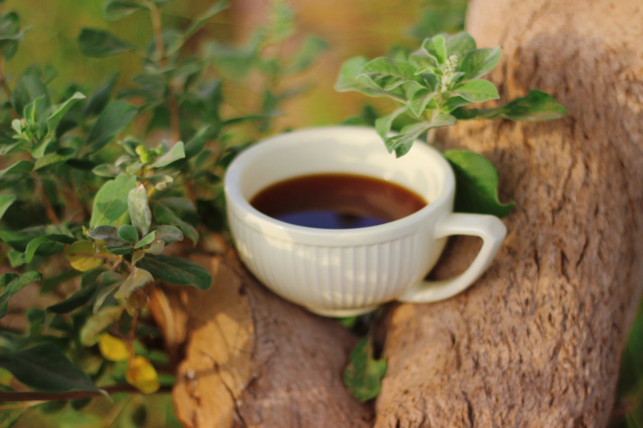 cozy-cup-of-coffee-nestled-in-nature-36712377